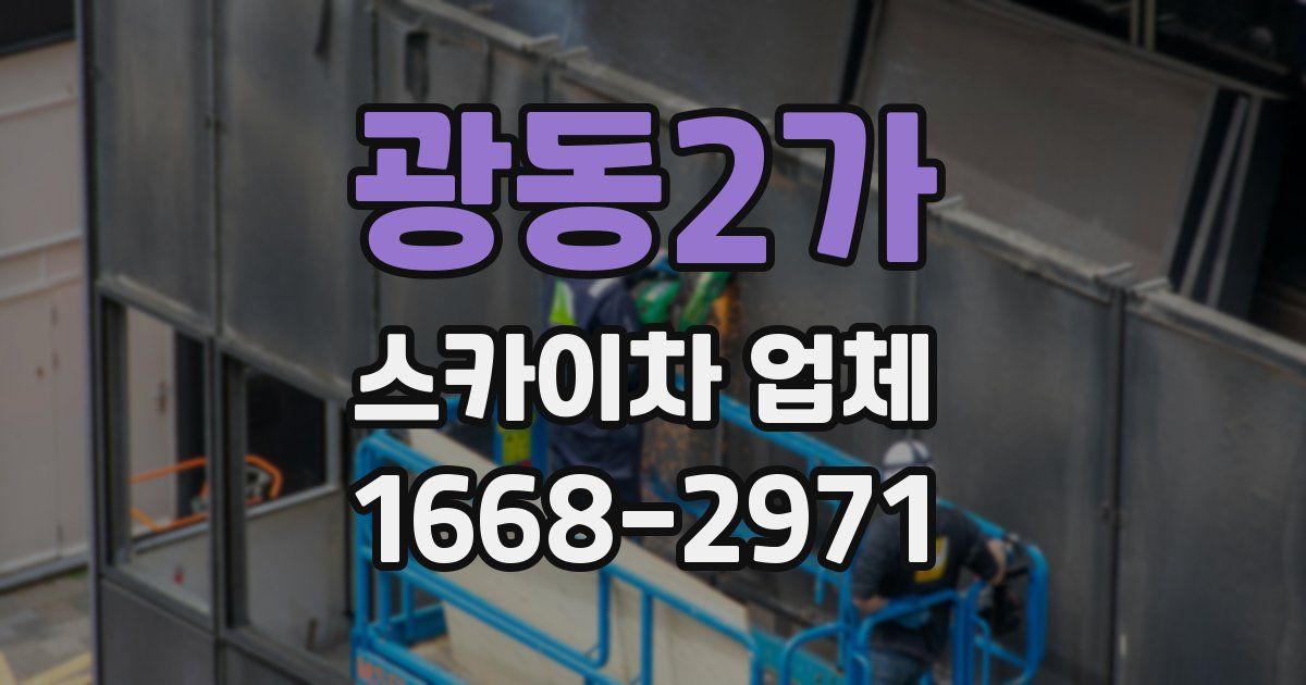 광동2가 스카이차 업체