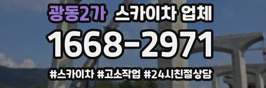 광동2가 스카이차 업체