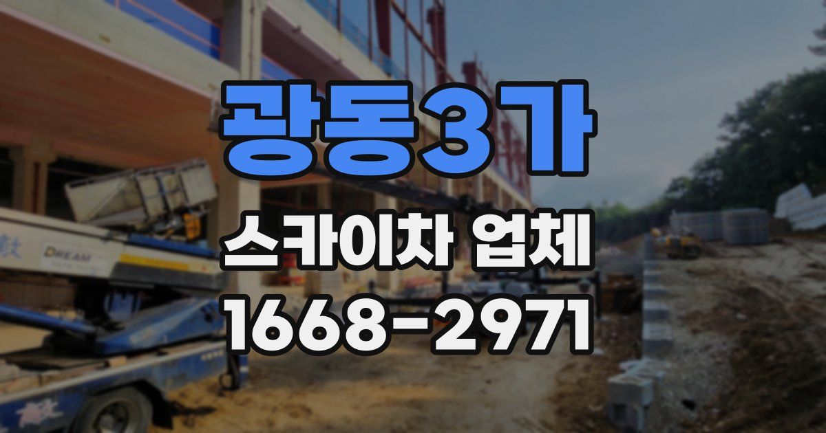 광동3가 스카이차 업체
