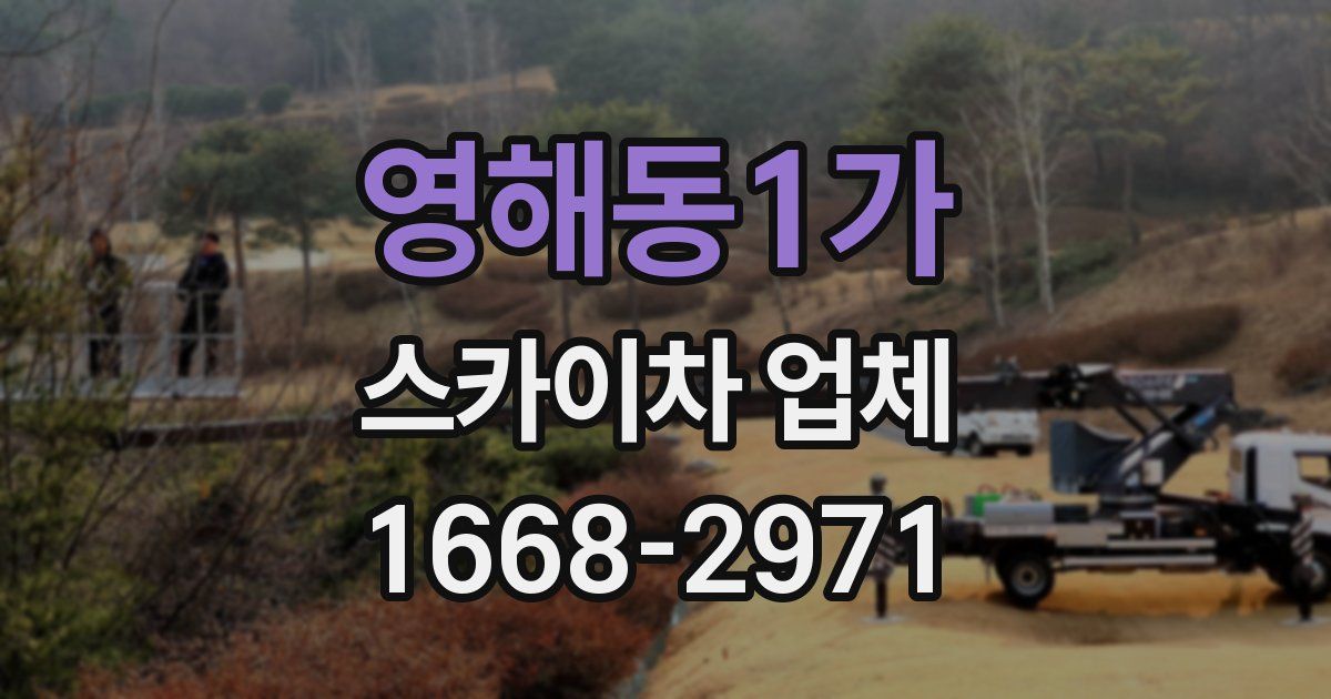 영해동1가 스카이차 업체