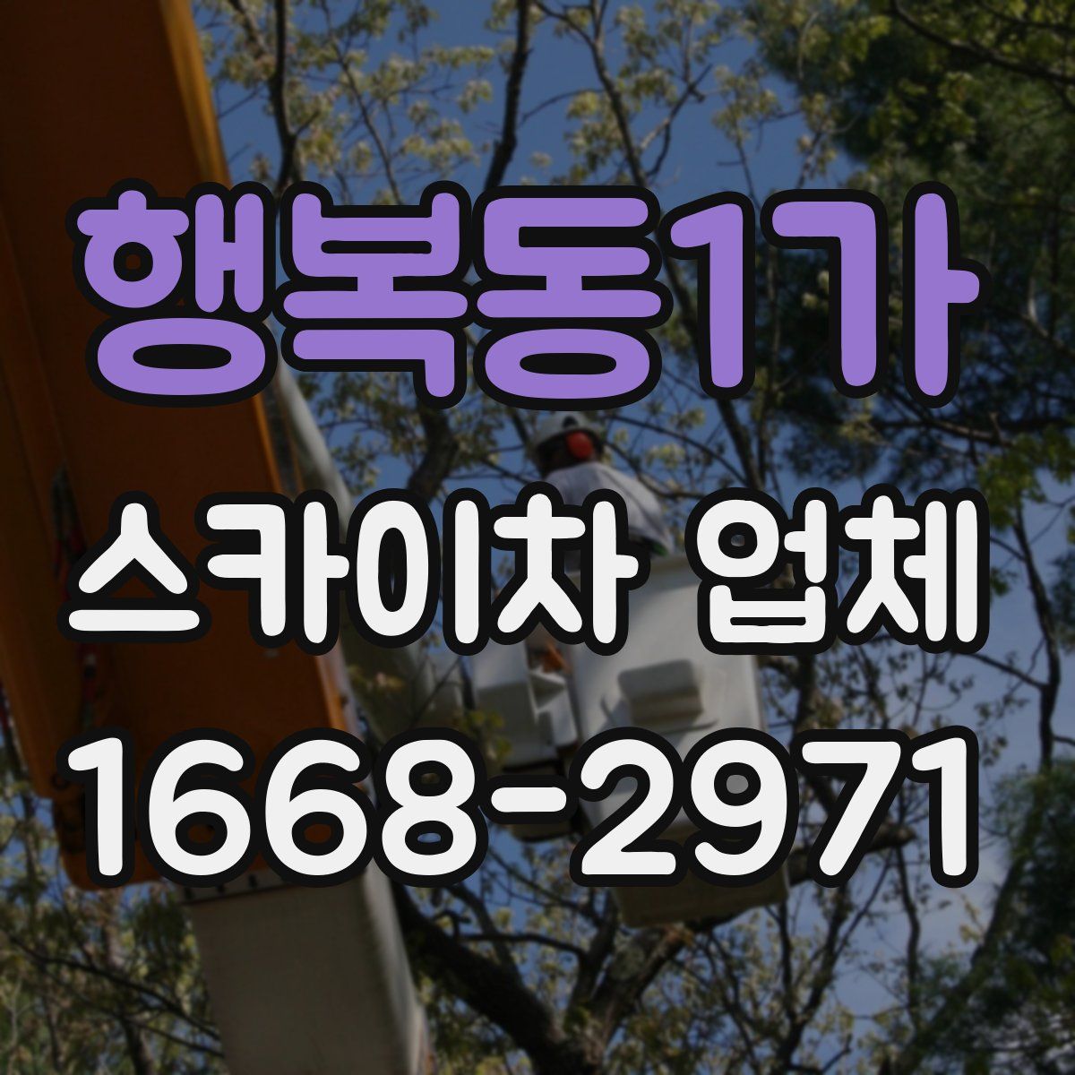 행복동1가 스카이차 업체