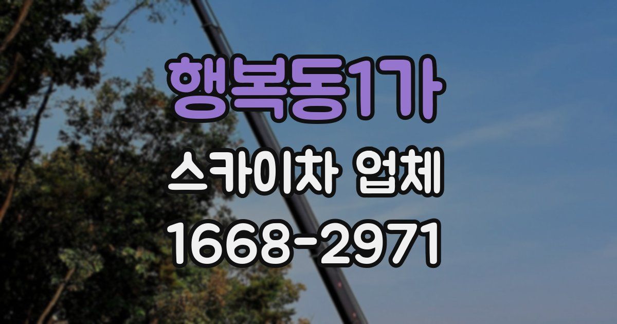 행복동1가 스카이차 업체