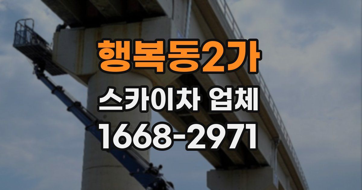 행복동2가 스카이차 업체