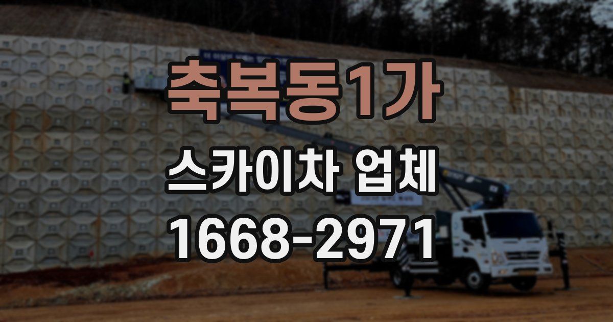 축복동1가 스카이차 업체