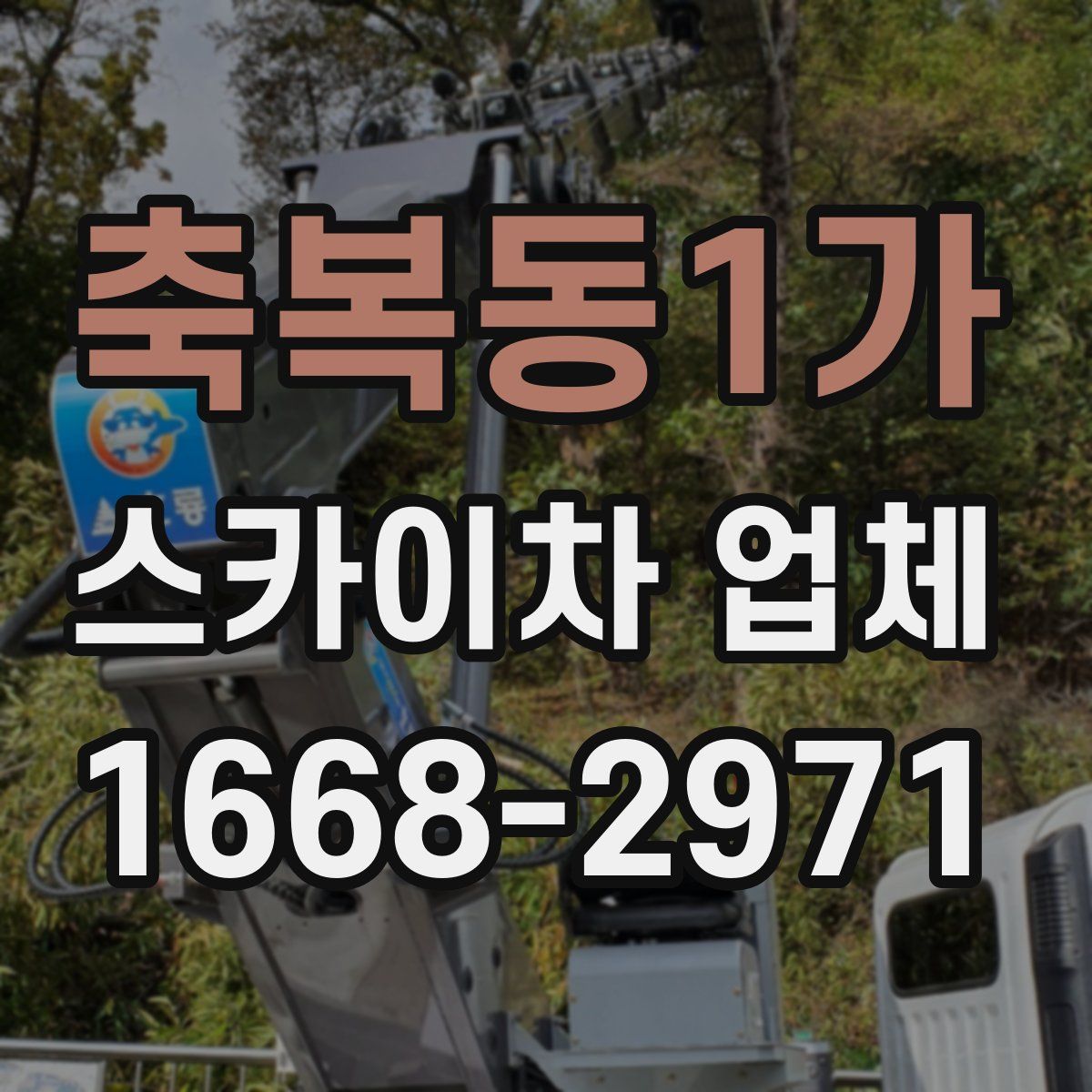 축복동1가 스카이차 업체