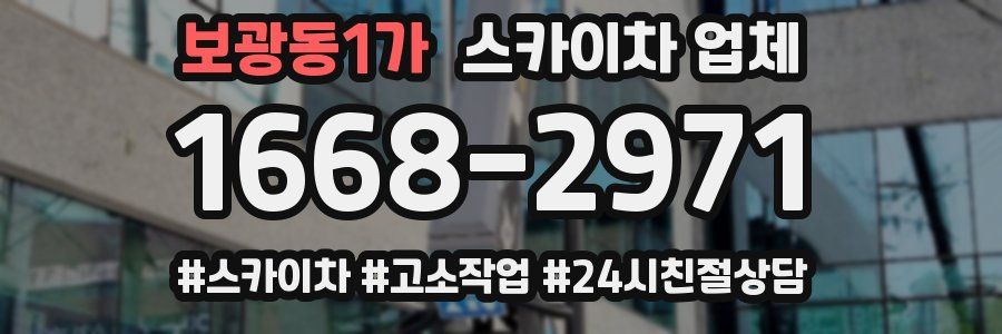 보광동1가 스카이차 업체