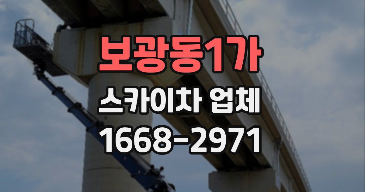 보광동1가 스카이차 업체