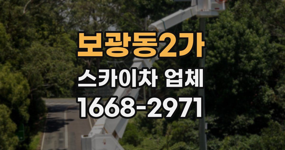 보광동2가 스카이차 업체