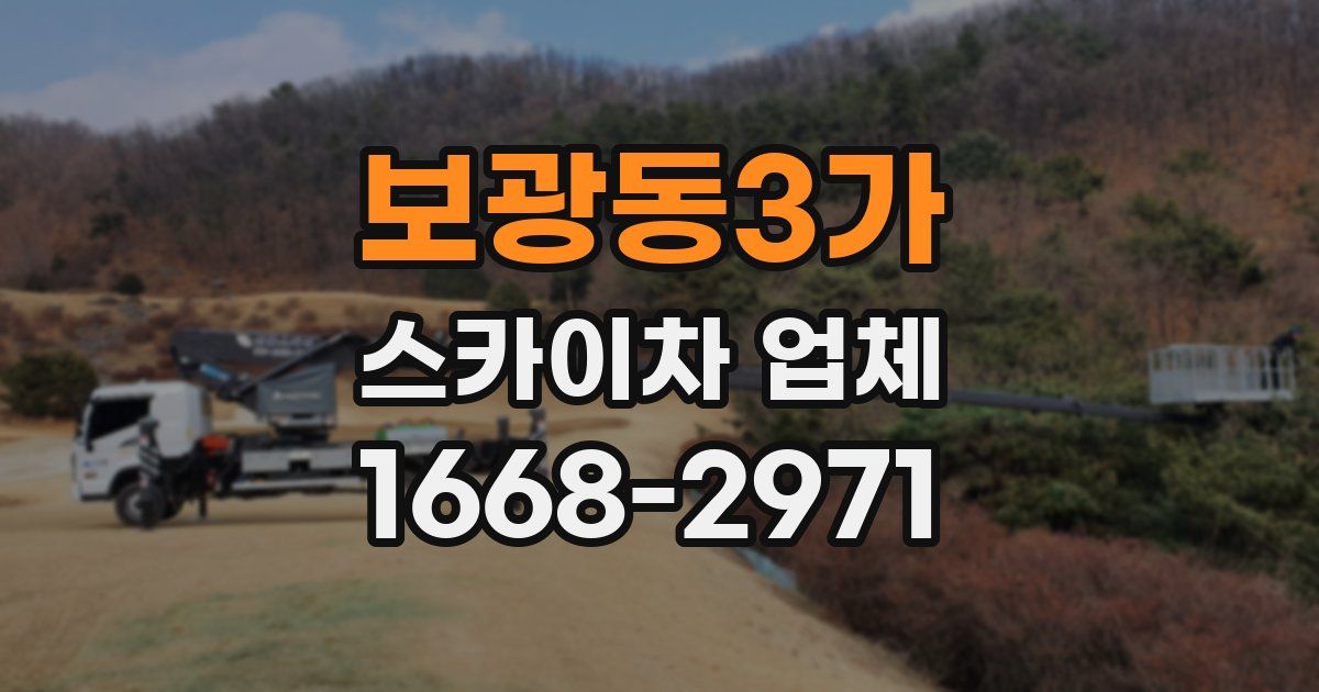 보광동3가 스카이차 업체