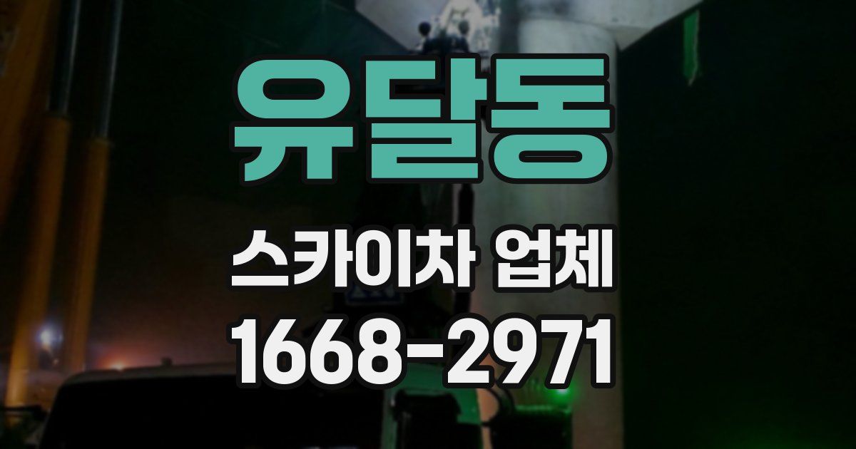 유달동 스카이차 업체