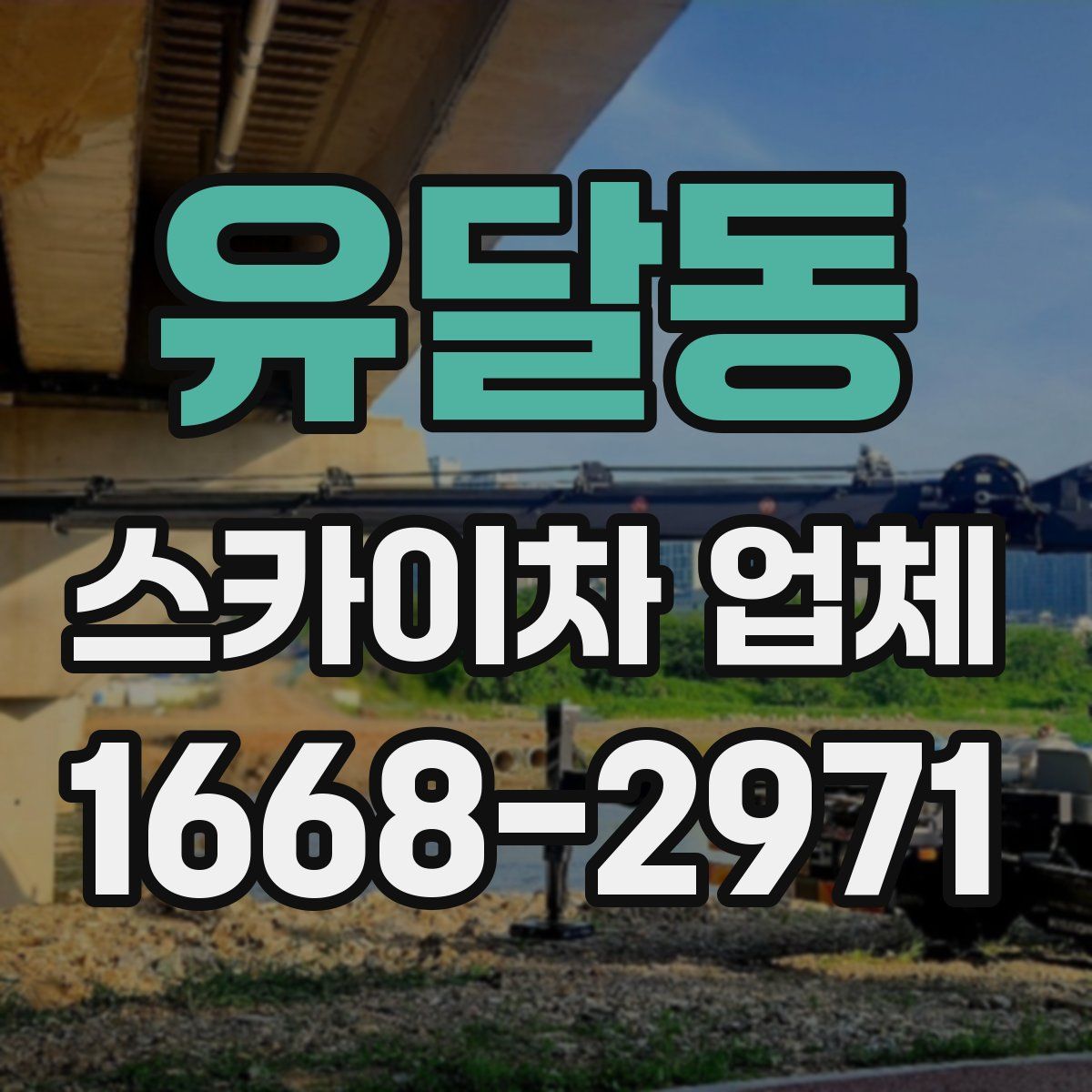 유달동 스카이차 업체
