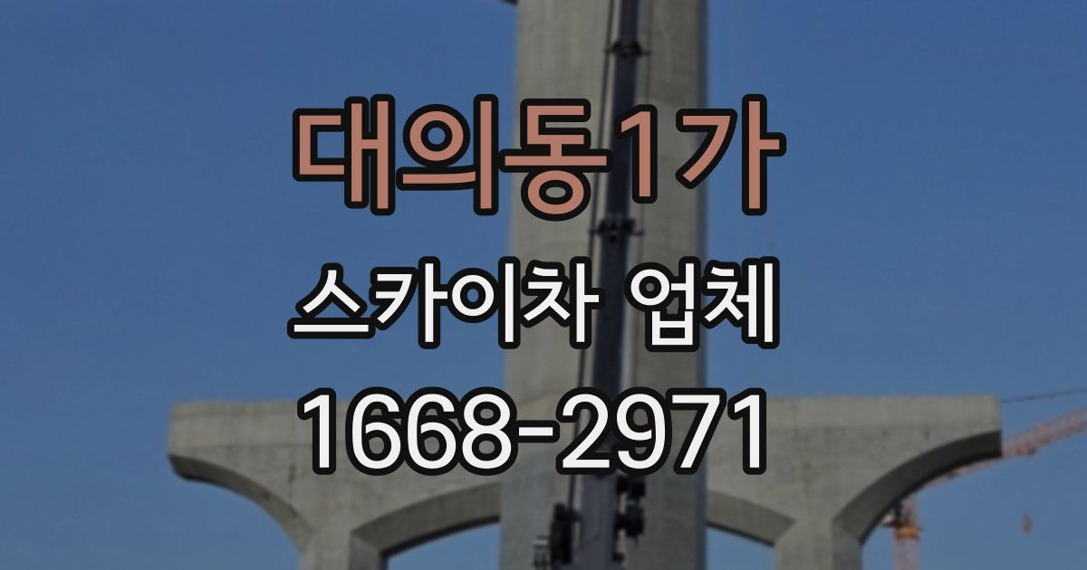 대의동1가 스카이차 업체