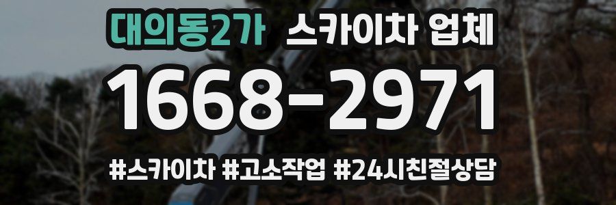 대의동2가 스카이차 업체