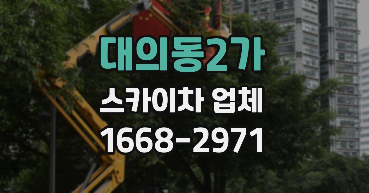 대의동2가 스카이차 업체