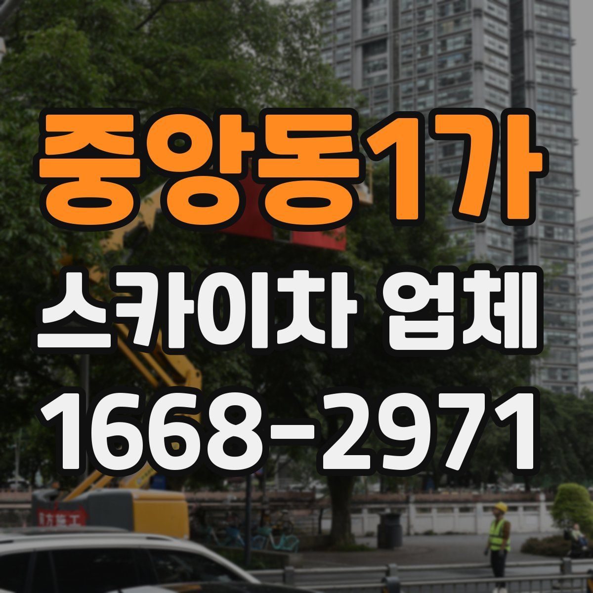 중앙동1가 스카이차 업체