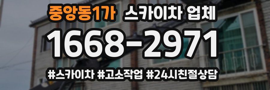 중앙동1가 스카이차 업체