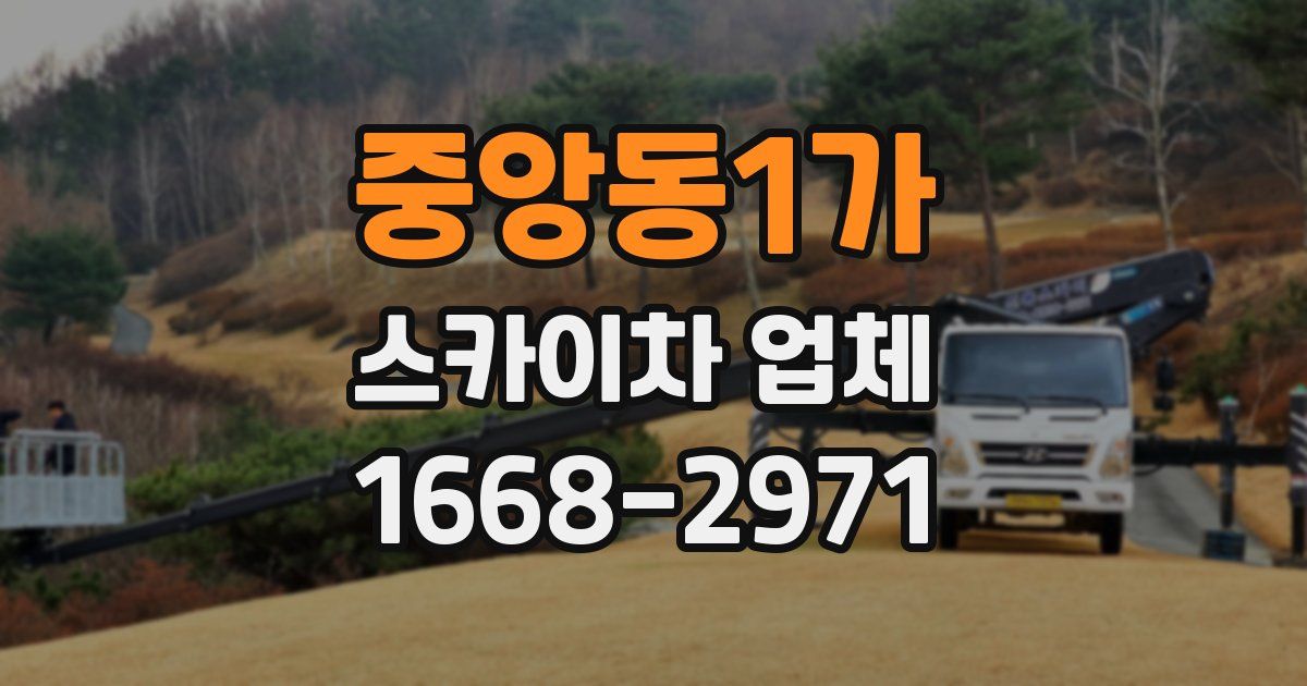 중앙동1가 스카이차 업체