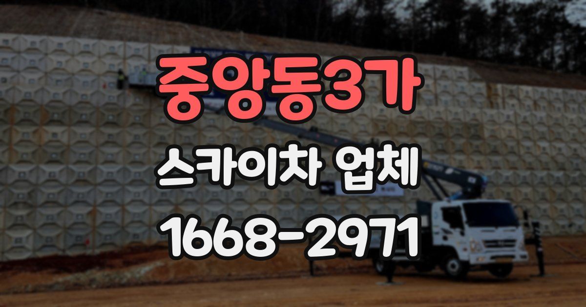 중앙동3가 스카이차 업체