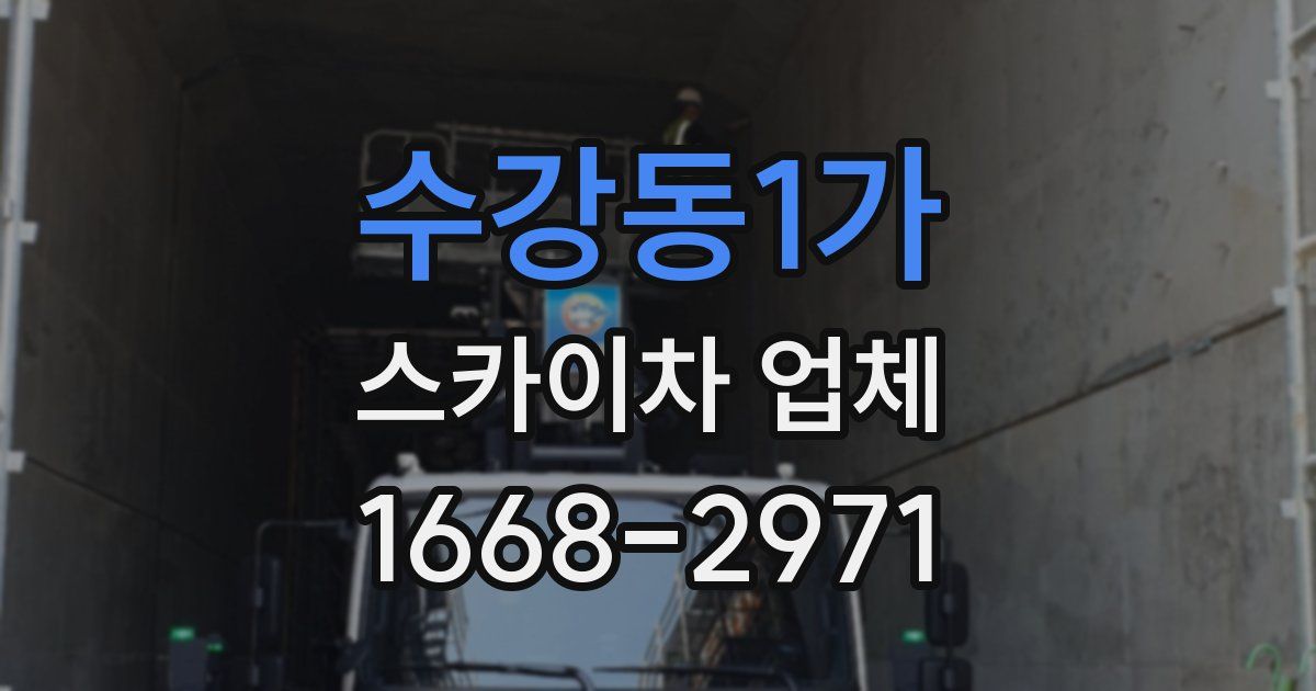 수강동1가 스카이차 업체
