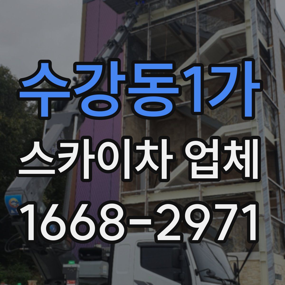 수강동1가 스카이차 업체