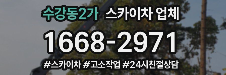 수강동2가 스카이차 업체