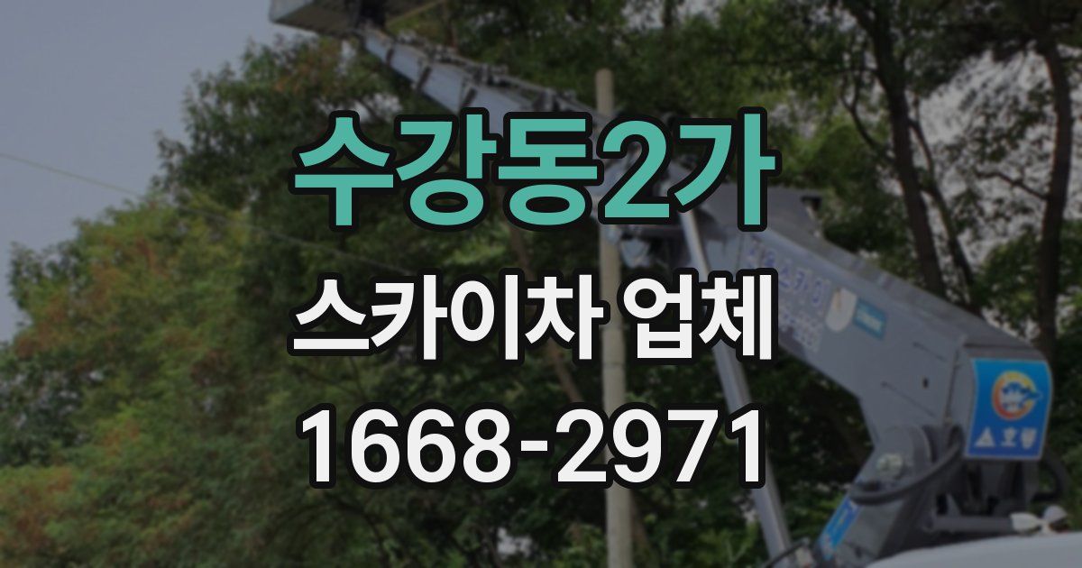 수강동2가 스카이차 업체