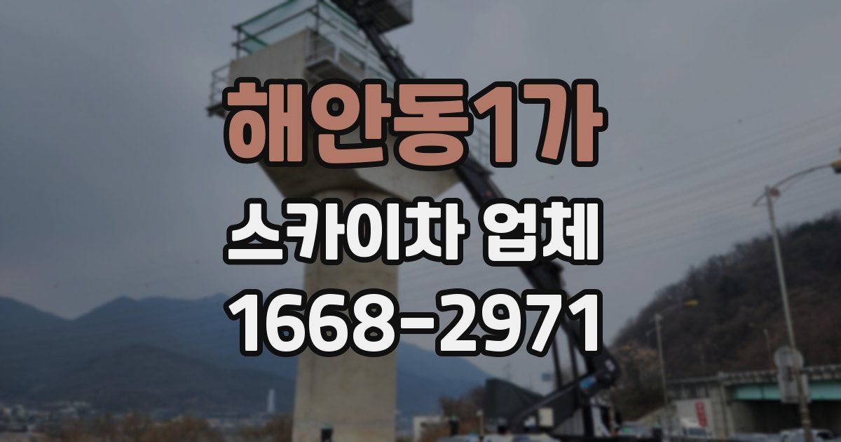 해안동1가 스카이차 업체
