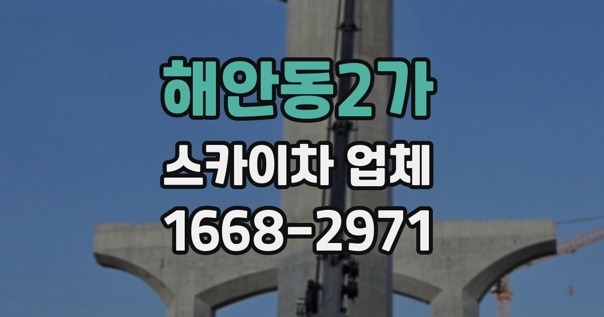 해안동2가 스카이차 업체