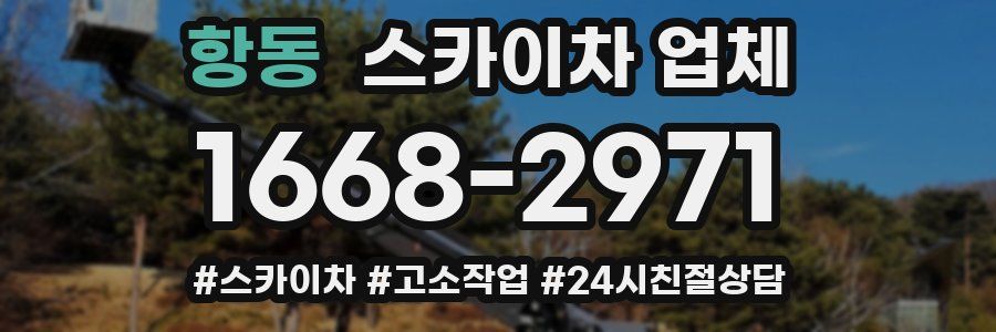 항동 스카이차 업체
