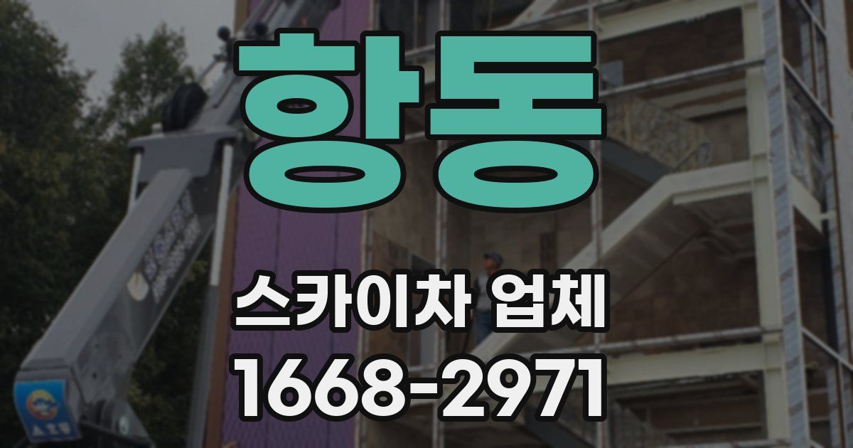 항동 스카이차 업체