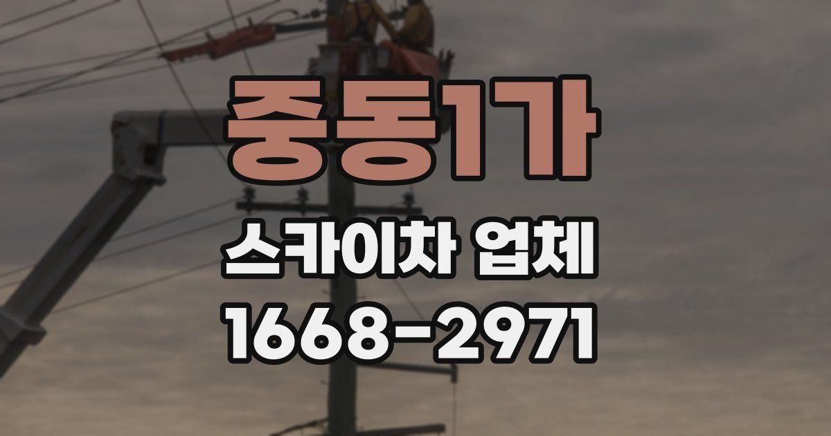 중동1가 스카이차 업체