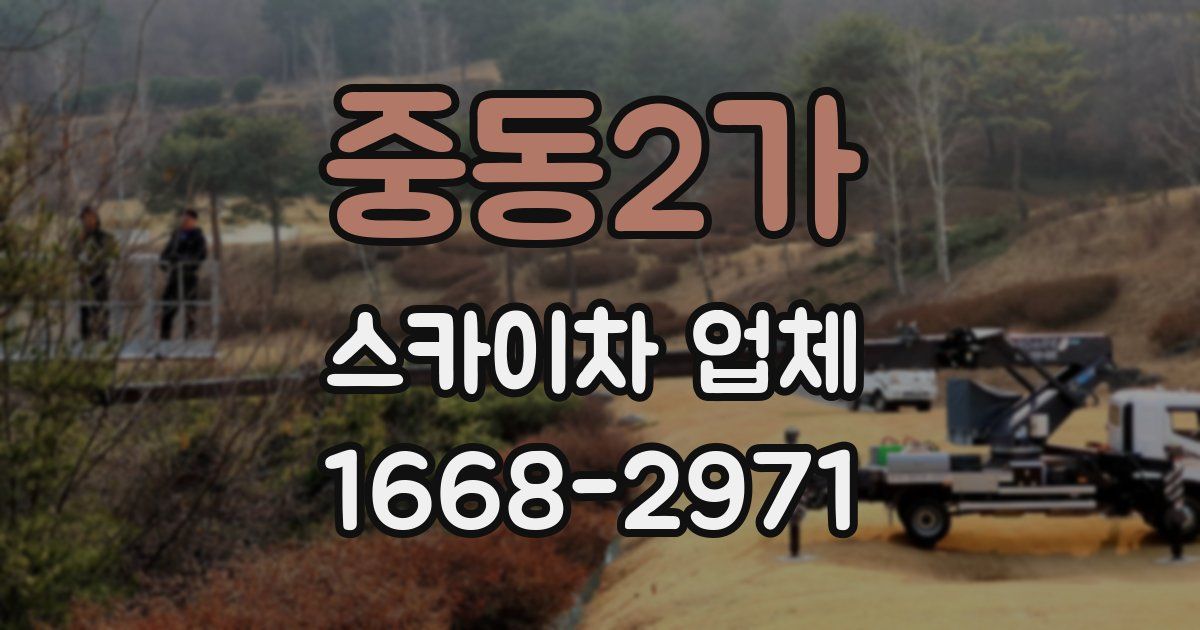 중동2가 스카이차 업체