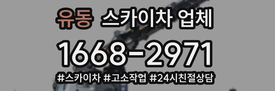 유동 스카이차 업체