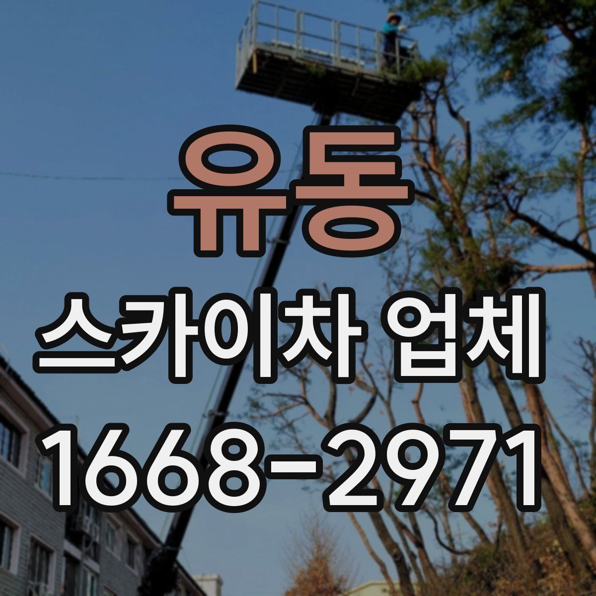 유동 스카이차 업체