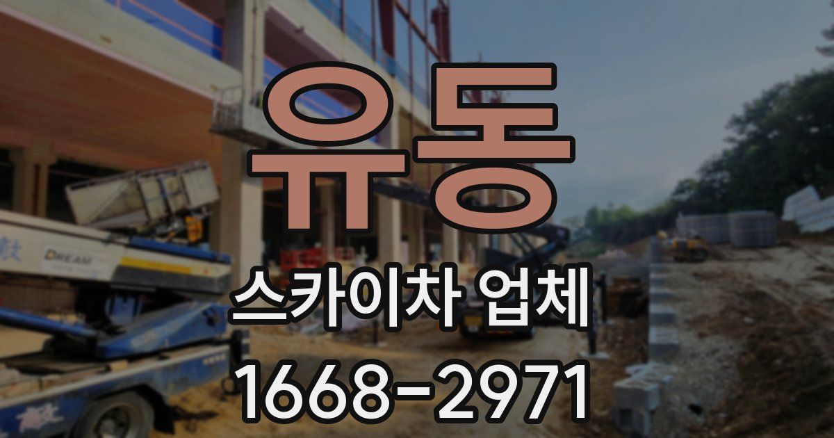 유동 스카이차 업체