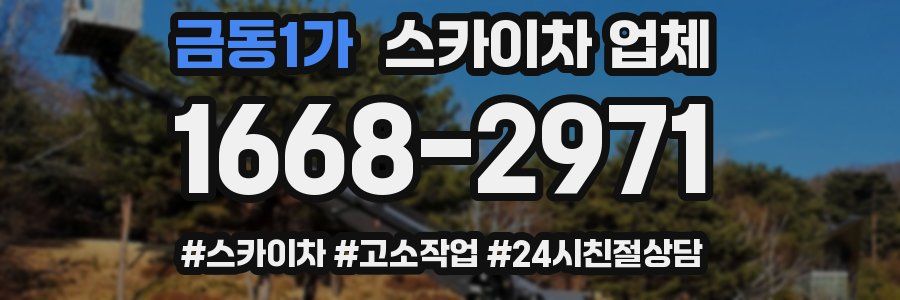 금동1가 스카이차 업체