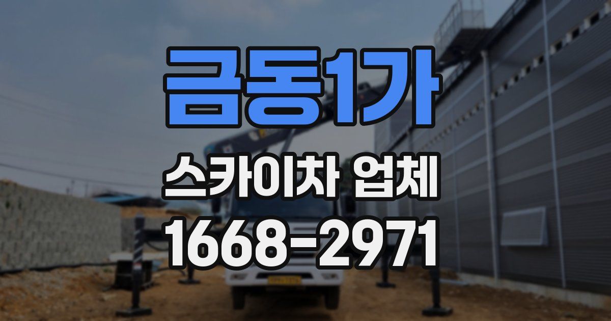 금동1가 스카이차 업체