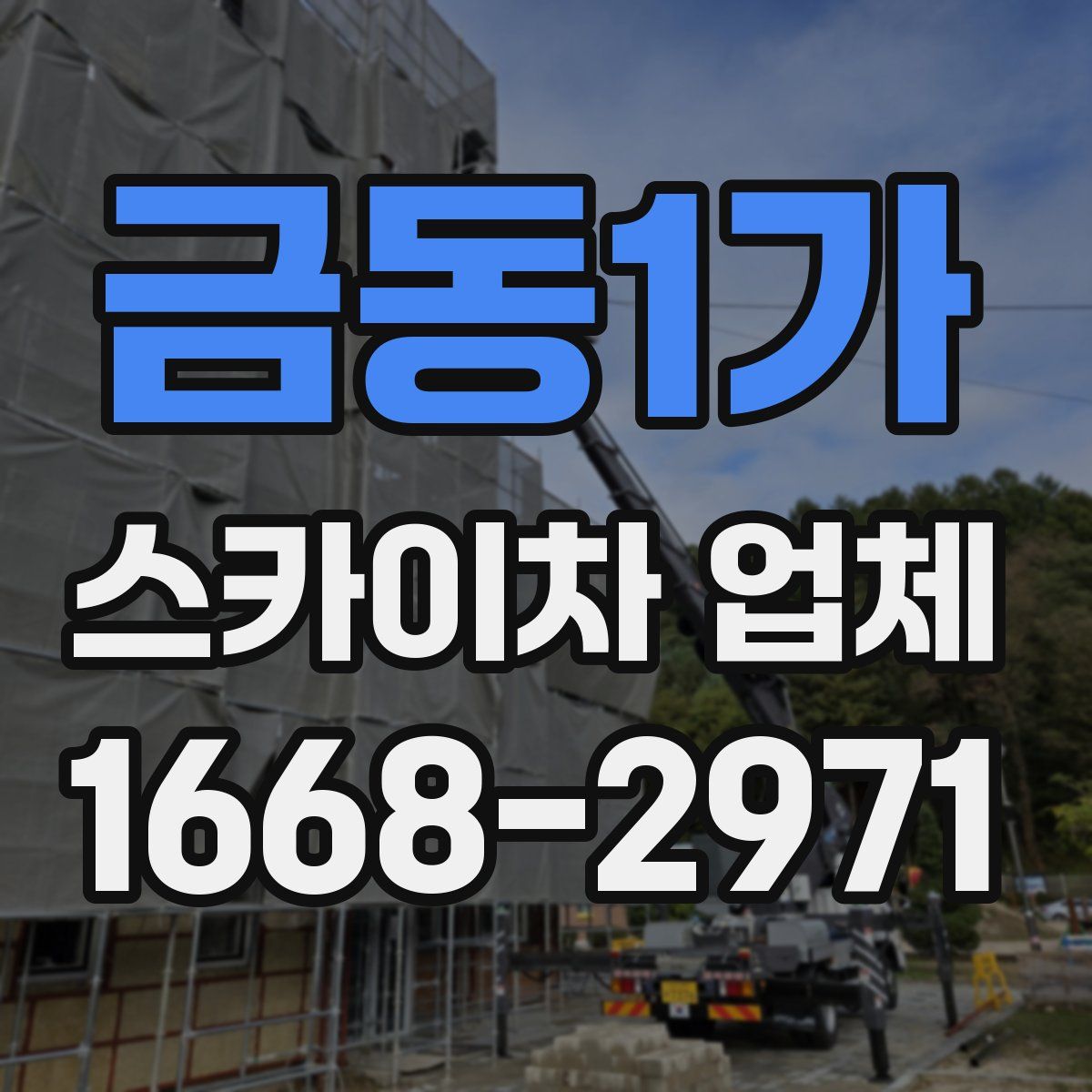 금동1가 스카이차 업체