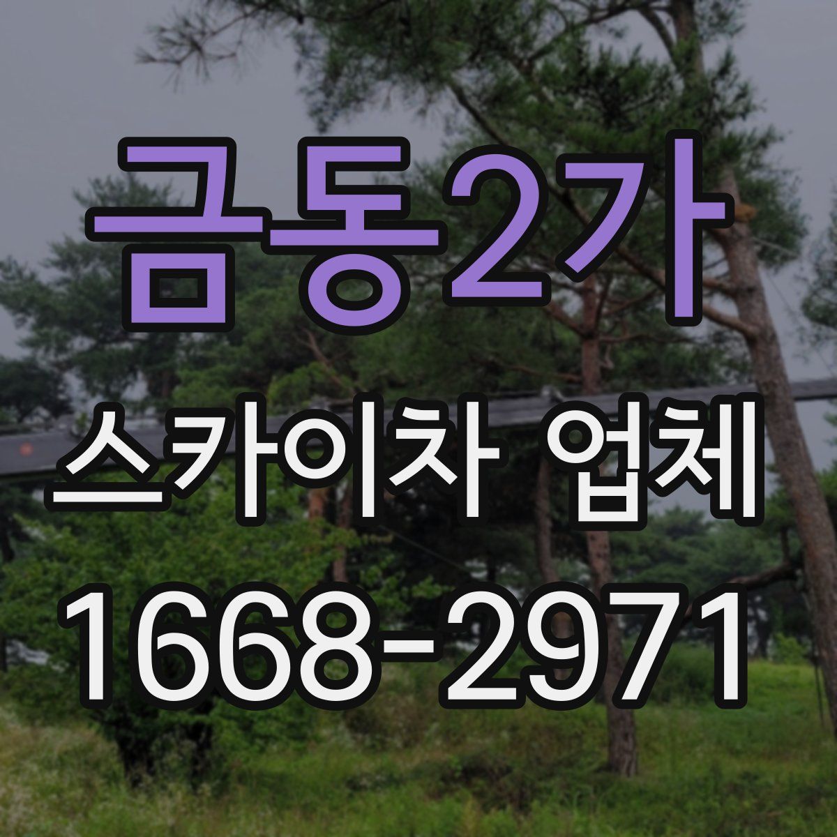 금동2가 스카이차 업체