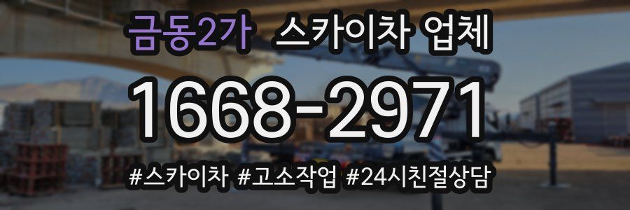 금동2가 스카이차 업체