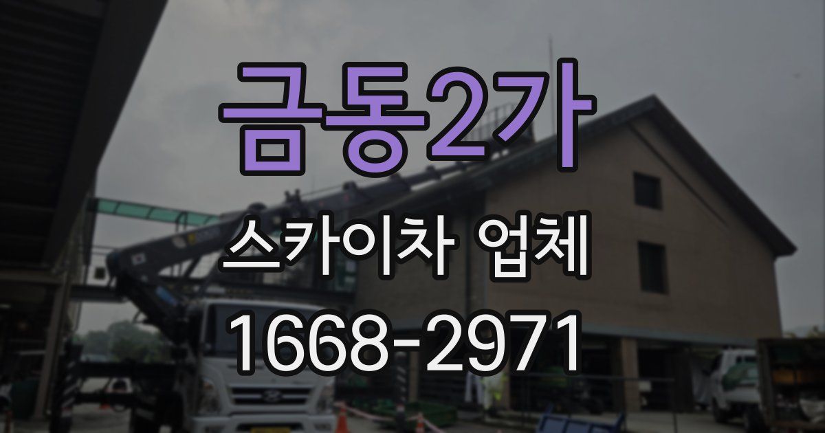 금동2가 스카이차 업체