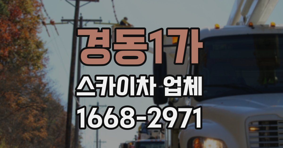 경동1가 스카이차 업체