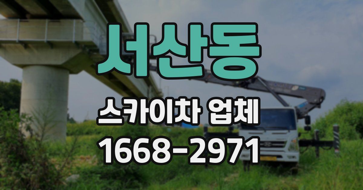 서산동 스카이차 업체