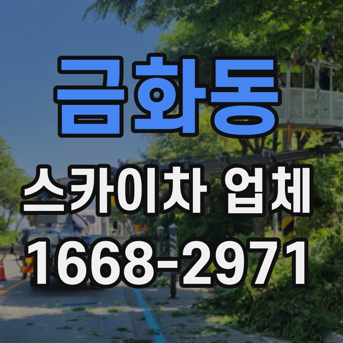 금화동 스카이차 업체