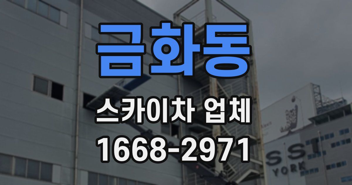 금화동 스카이차 업체