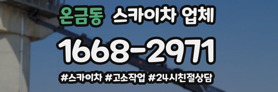 온금동 스카이차 업체