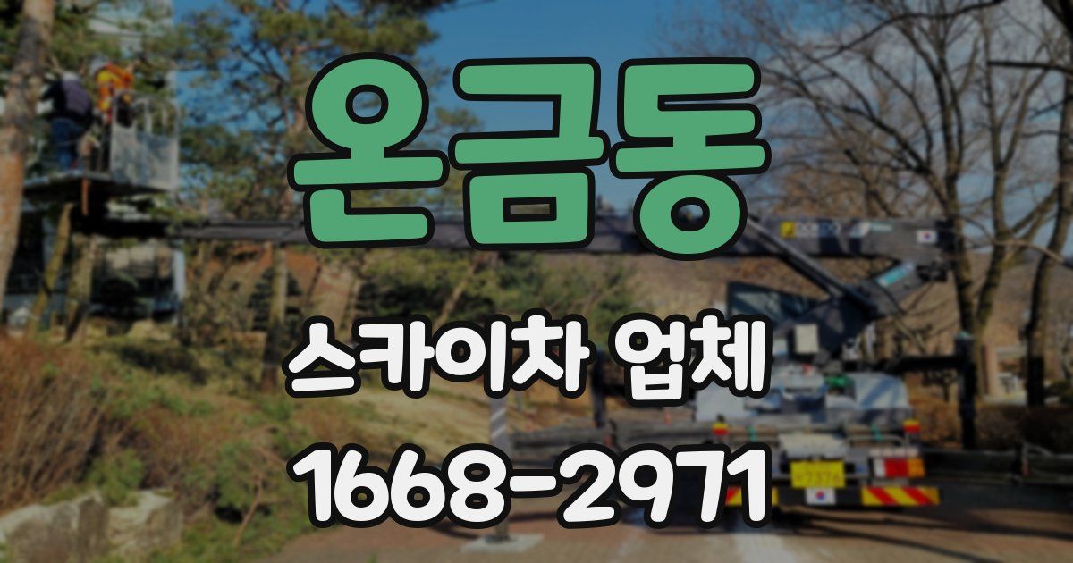 온금동 스카이차 업체