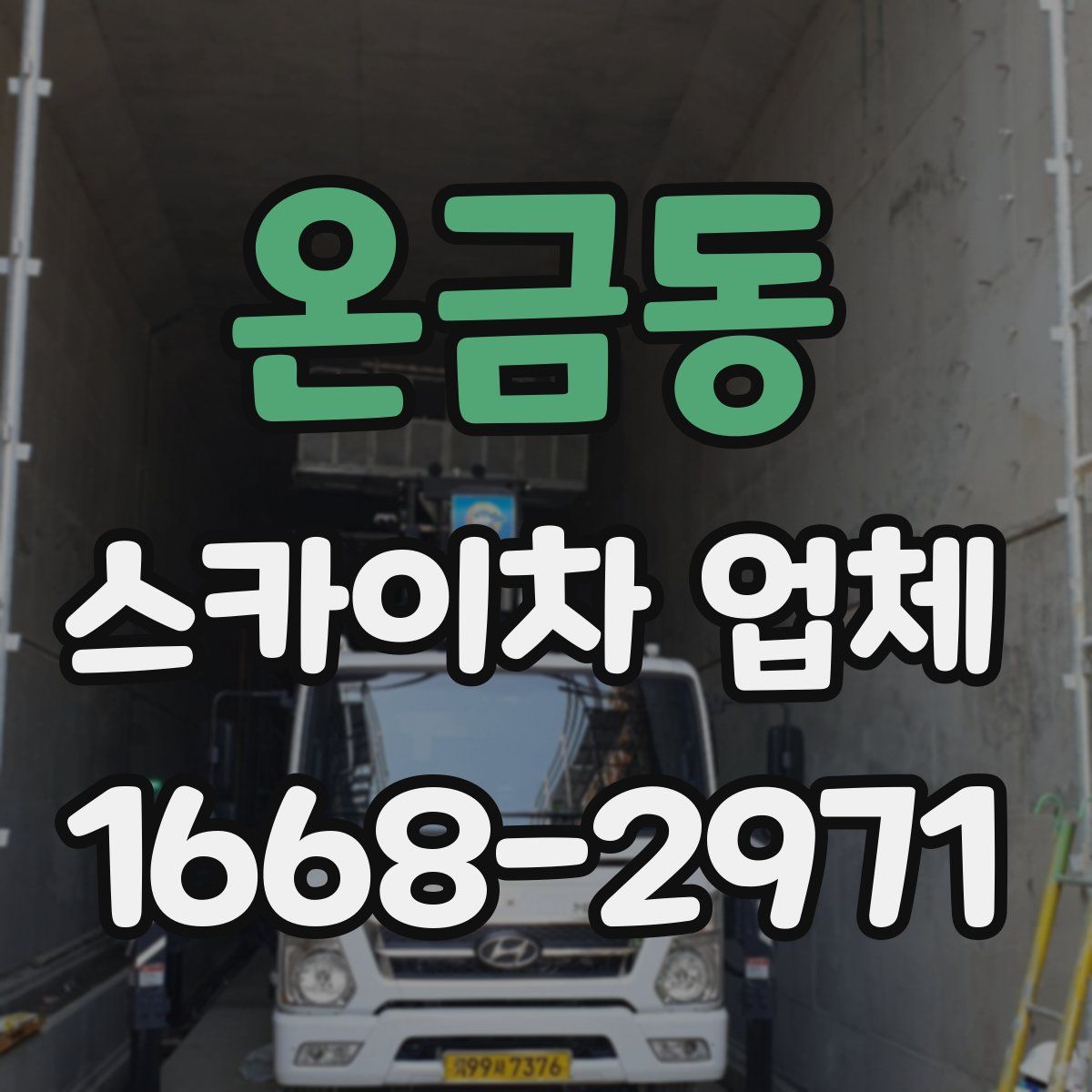 온금동 스카이차 업체