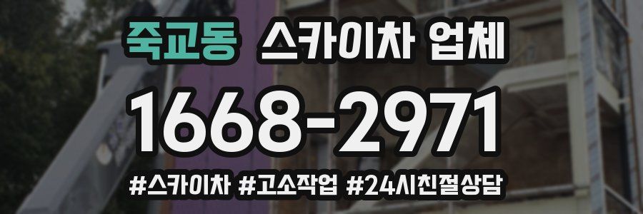 죽교동 스카이차 업체