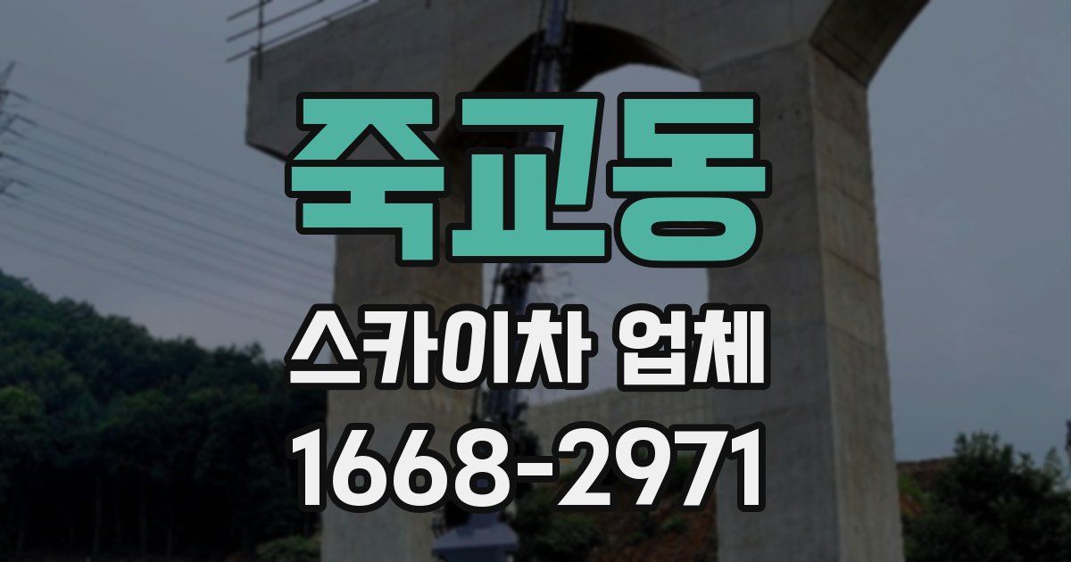 죽교동 스카이차 업체